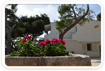 Villa Marija